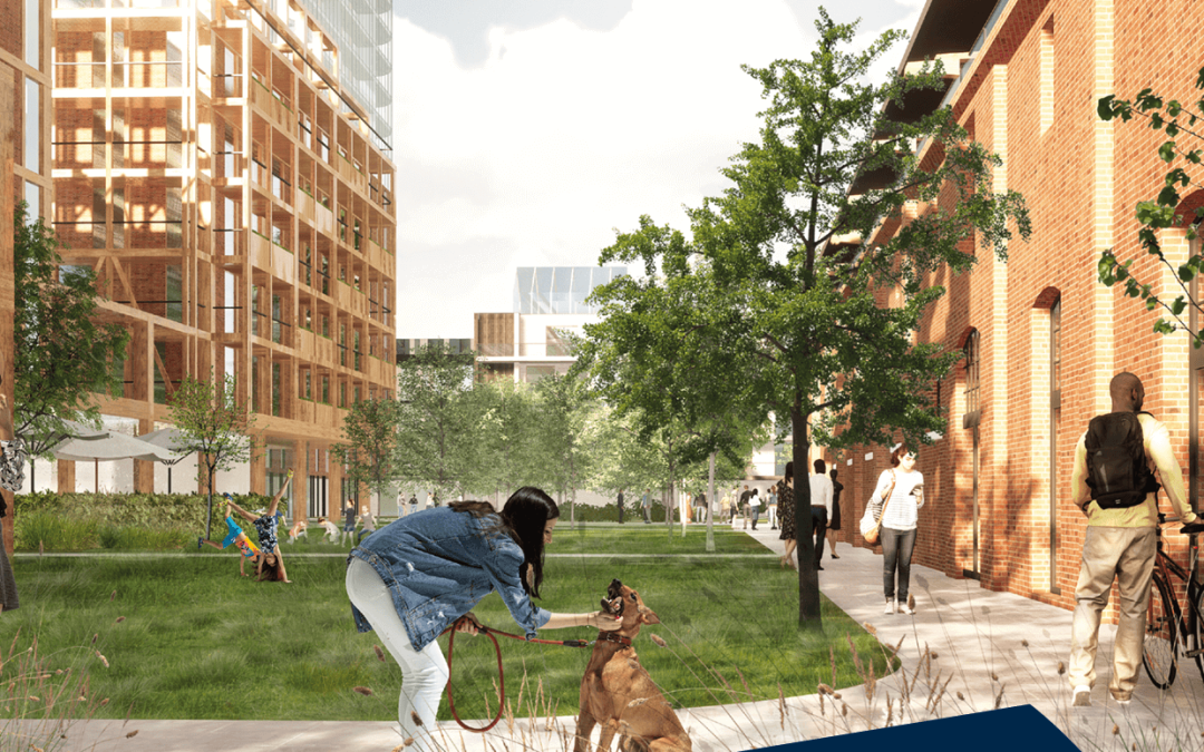 Belgen introduceren het innovatieve concept ‘tijdelijke invulling’ in Poznań.